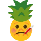 faccina con termometro + ananas