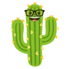 faccina nerd + cactus