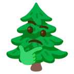 faccina concentrata + albero sempreverde
