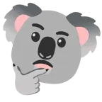 faccina concentrata + koala