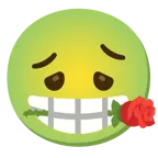 faccina nauseata + rosa