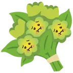 faccina nauseata + mazzo di fiori