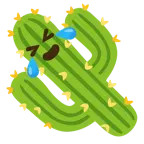 rolling on the floor laughing + cactus