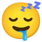 drooling face + sleeping face
