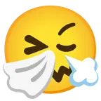 faccina che starnutisce + faccina che sbuffa