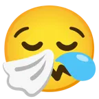 faccina che starnutisce + faccina assonnata