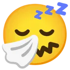 faccina che starnutisce + faccina che dorme