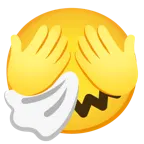faccina che starnutisce + non vedo