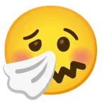 faccina che starnutisce + faccina stordita