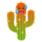 faccina accaldata + cactus
