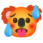 faccina accaldata + koala