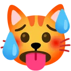 faccina accaldata + muso di gatto