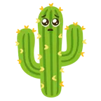 faccina supplichevole + cactus