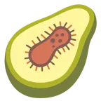 microbo + avocado