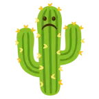 faccina imbronciata + cactus