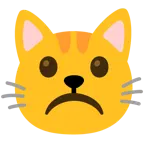 faccina imbronciata + muso di gatto