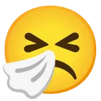 faccina imbronciata + faccina che starnutisce