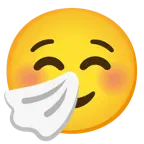 smiling face + sneezing face