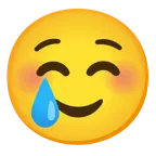 smiling face + smiling face with tear