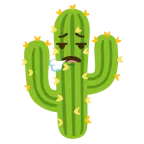 faccina che espira + cactus