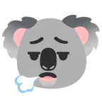 faccina che espira + koala