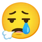 faccina che espira + faccina che piange