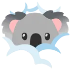 testa tra le nuvole + koala