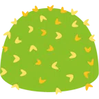 czarodziejska różdżka + kaktus