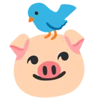 นก + หน้าหมู