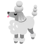 poodle + poodle