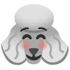 พุดเดิ้ล + หน้ายิ้ม