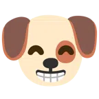 หน้าสุนัข + ยิ้มยิงฟันตายิ้ม