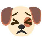 หน้าสุนัข + อดทน