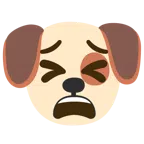 หน้าสุนัข + เหนื่อย