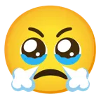 face holding back tears + face with steam from nose