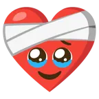 face holding back tears + mending heart