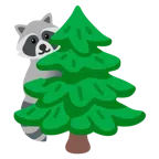 แรคคูน + ต้นสน