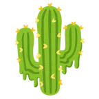 melting face + cactus