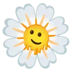 melting face + blossom