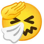 faccina che fa il saluto + faccina che starnutisce