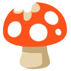 mushroom + mushroom
