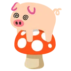 เห็ด + หน้าหมู