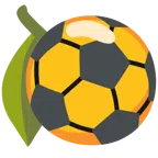 Fußball + Zitrone