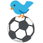 Fußball + Vogel