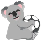 piłka nożna + koala