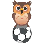 Fußball + Eule