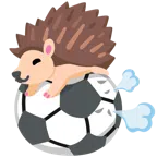 Fußball + Igel