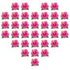cuori + ibisco