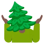 persona che scrolla le spalle + albero sempreverde