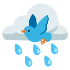 เมฆฝน + นก